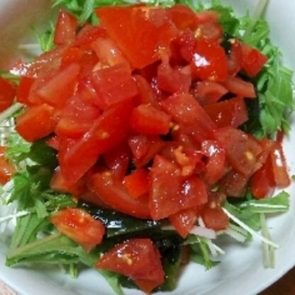 トマトをたれに漬け込む時間を作るだけで、こんなに美味しくなるなんてびっくりでした。野菜もたくさん食べられて、とても美味しかったです！